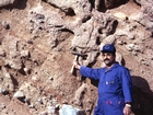 ayran Group, Al Wajh conglomerates. Latest Oligocene to Early Miocene